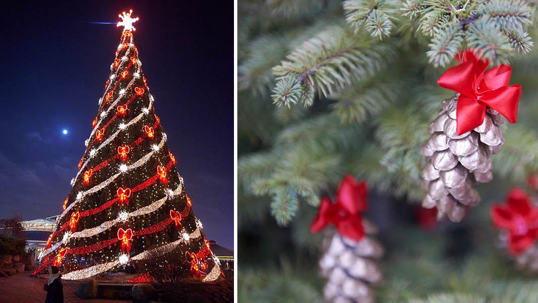 Juletræ og julekogle fra Krakow julemarked